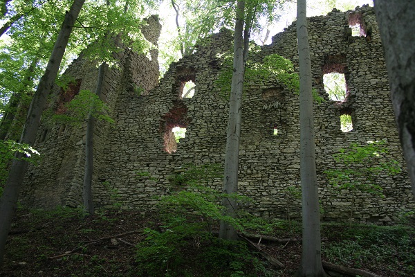 Höhenburgruine Brandenfels